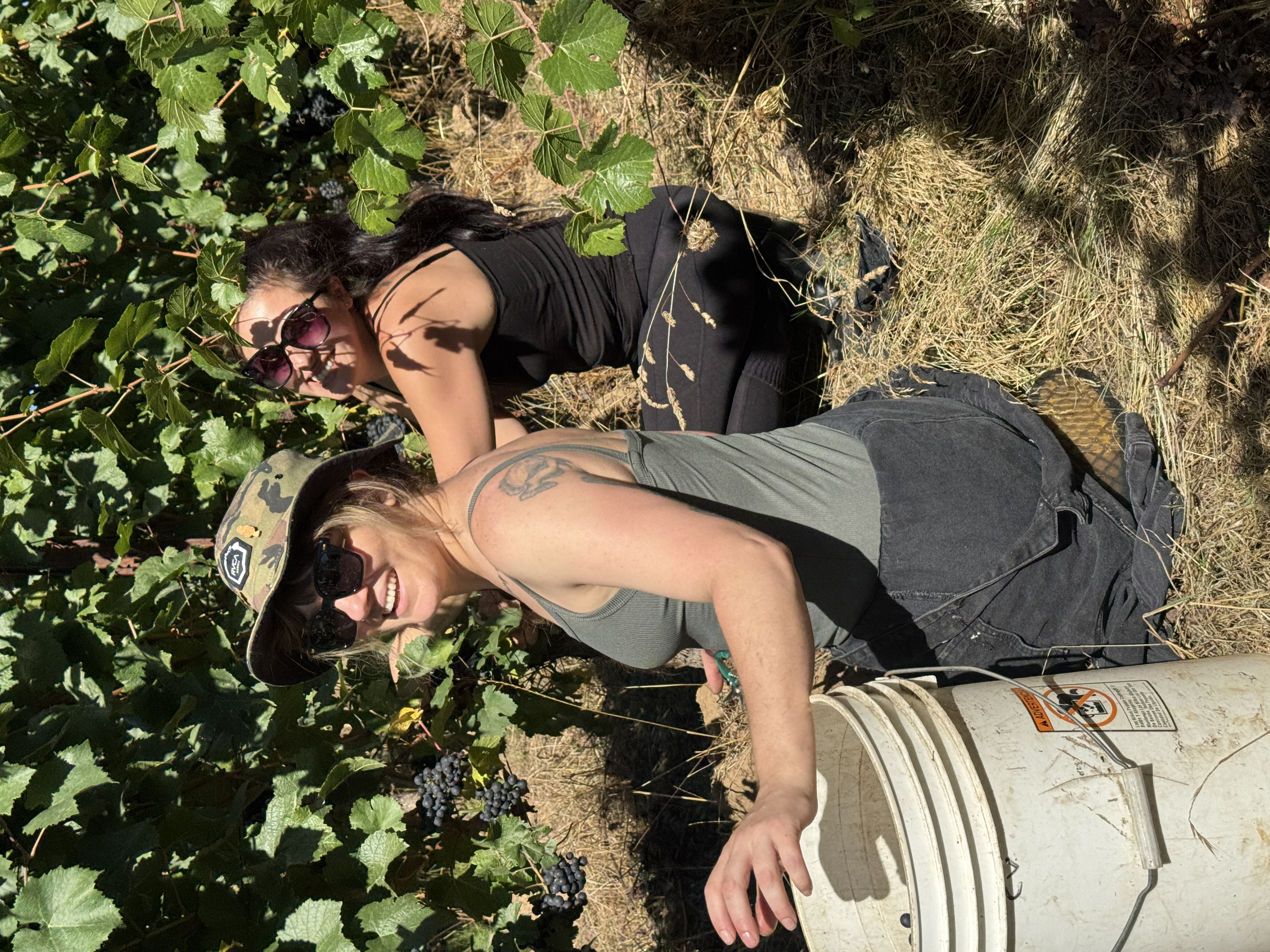 Picking at Monks Gate 2025